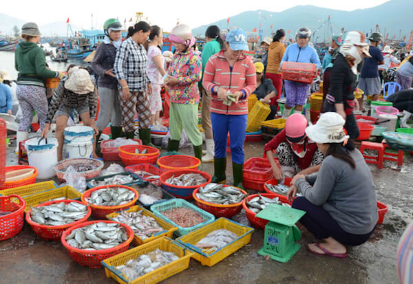 Kinh nghiệm chọn mua hải sản ở biển Hải Tiến cho hè 2019 6