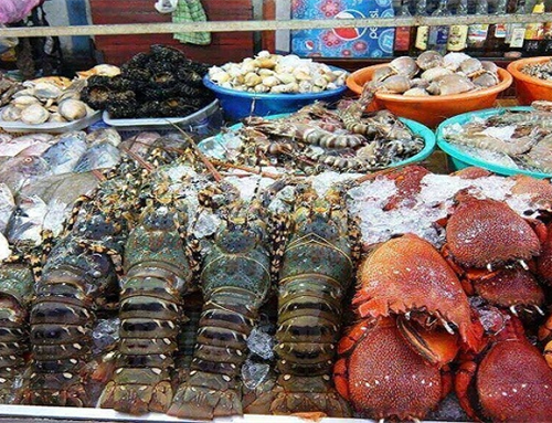 Kinh nghiệm chọn mua hải sản ở biển Hải Tiến