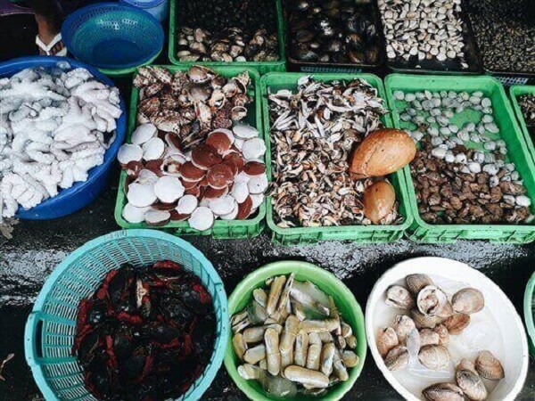 Theo kinh nghiệm chọn mua hải sản ở biển Hải Tiến đầu tiên bạn phải biết nên mua hải sản ở địa điểm nào