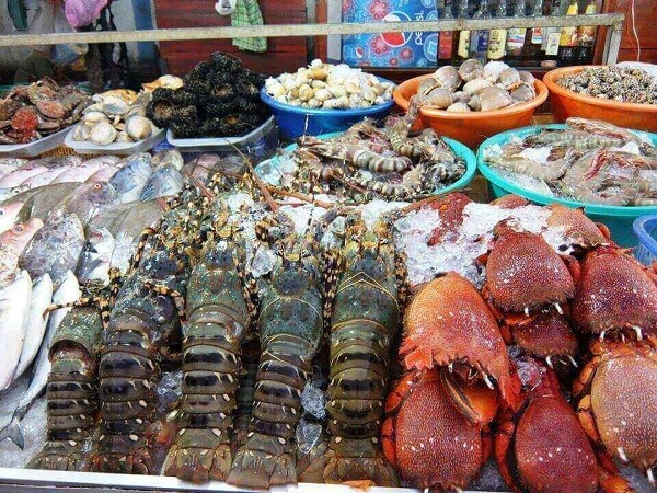  Kinh nghiệm chọn mua hải sản ở biển Hải Tiến