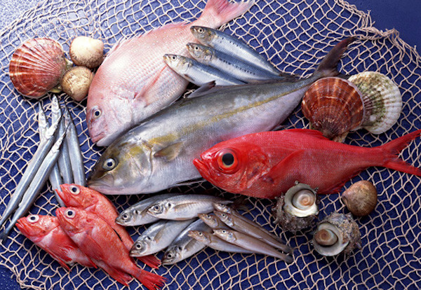 Kinh nghiệm chọn mua hải sản ở biển Hải Tiến cho hè 2019 4